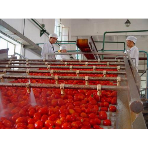 Ligne de production de sauce tomate